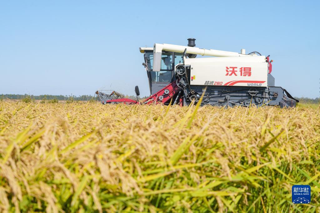 梭哈软件下载